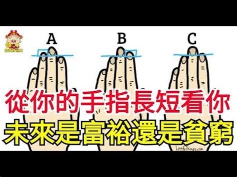 手指看命運|從「手相」看出你的運勢跟個性！指尖很尖表示個性敏。